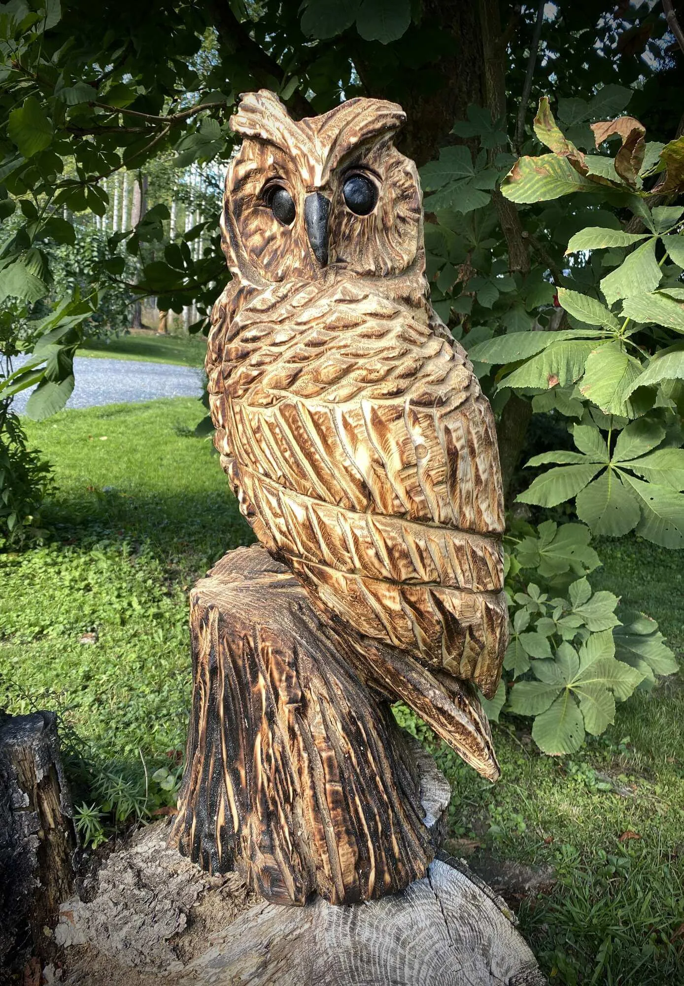 Pöllö 1