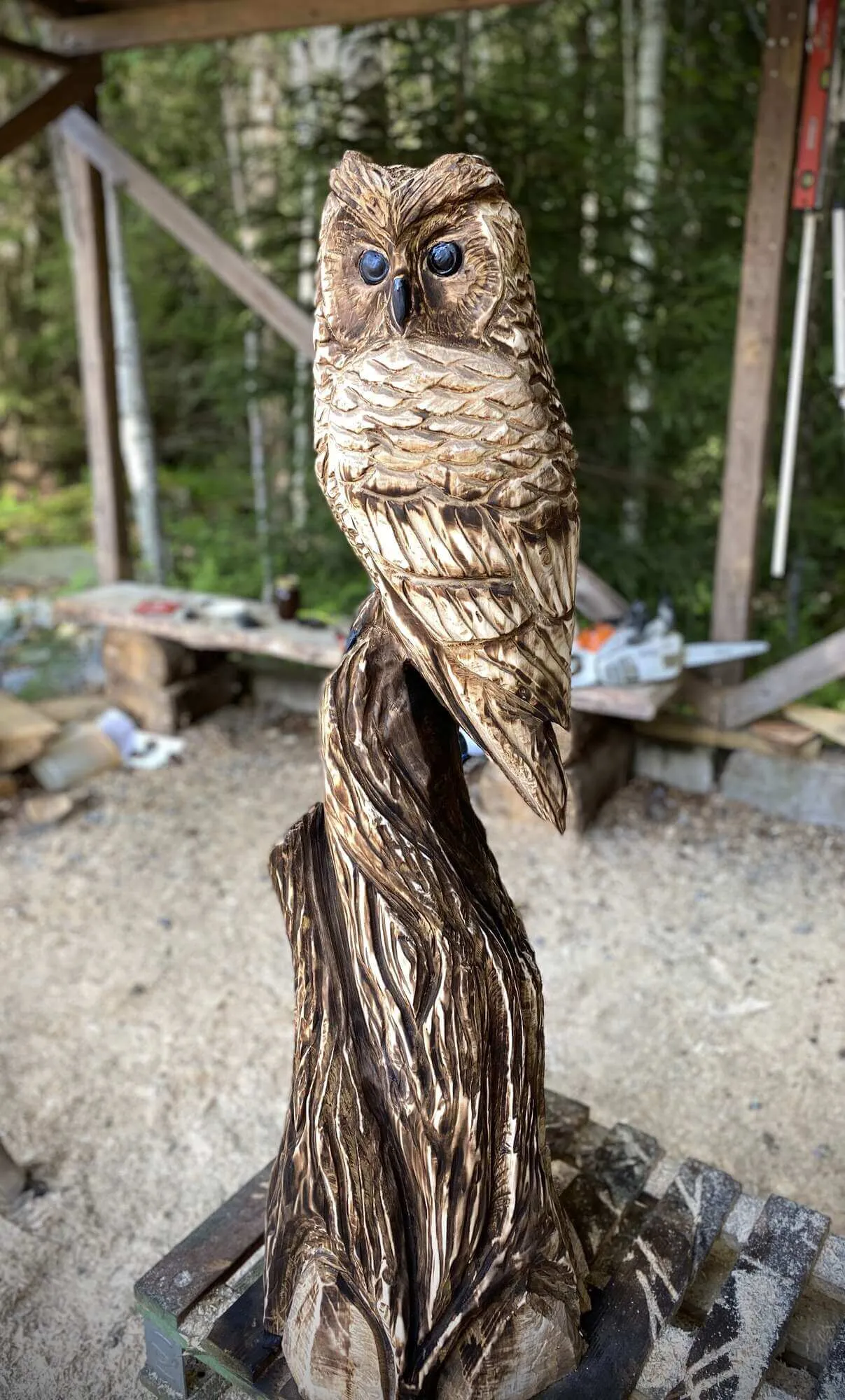 Pikkupöllö
