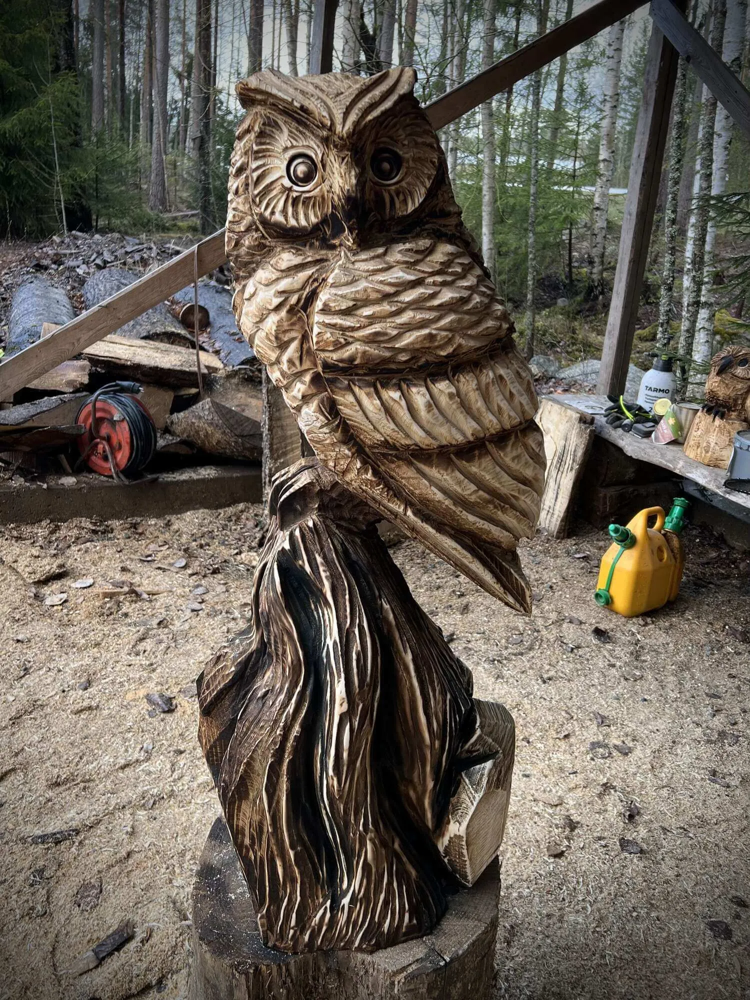 Pikkupöllö 2