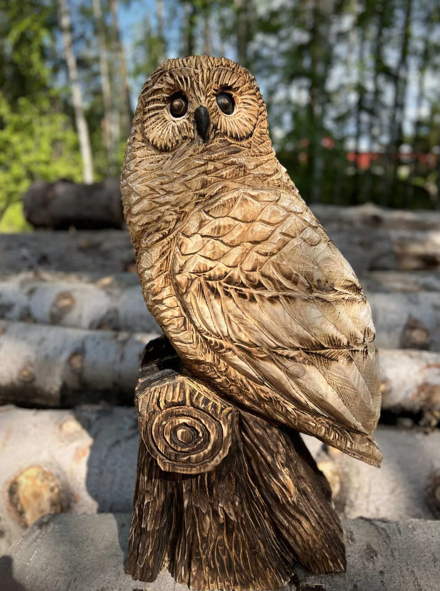 Pikkupöllö 5