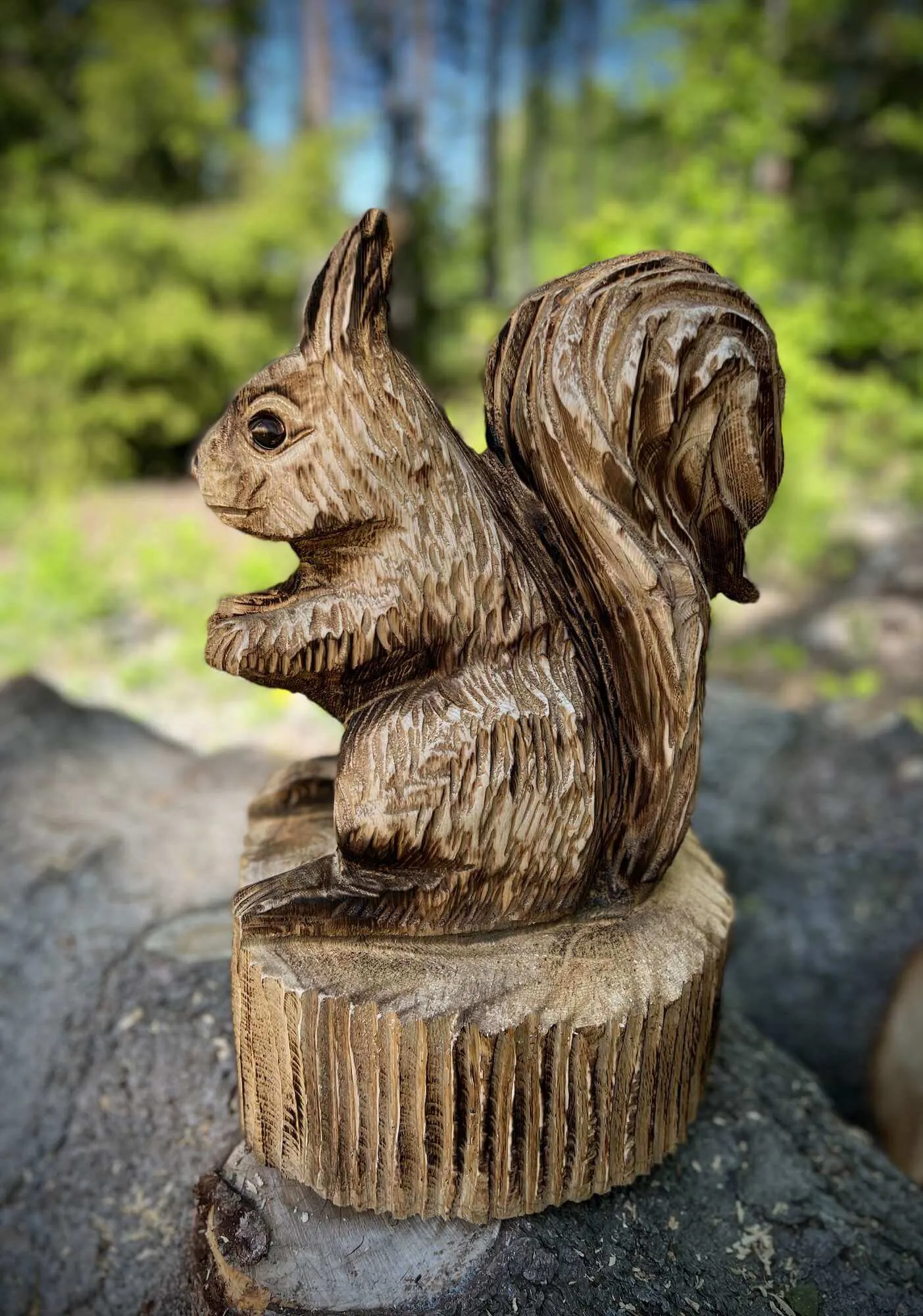 Orava